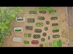 Bộ giường vườn kim loại