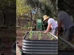 Căn giường vườn cao thép có bánh xe